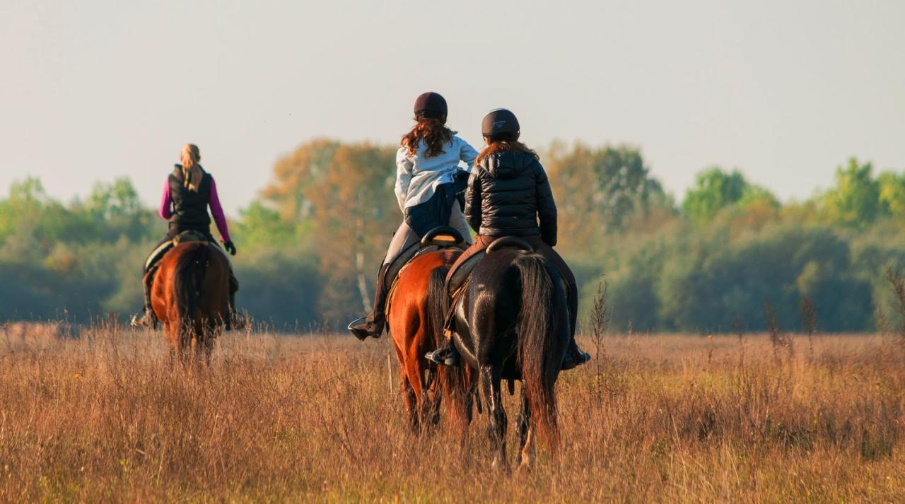 Homoki Lodge Bed & Beyond Glamping (Adults Only) Ruzsa Eksteriør bilde